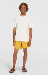 O’Neill Vert 16'' Swim Shorts Men - Golden Haze