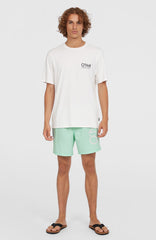 Original Cali 16'' Swim Shorts Men - Mildrew Mint
