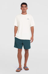 Cali 16'' Swim Shorts Men - Alma Steel
