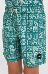 O'Neill Print Swimshorts Kids - Blue Bricks
