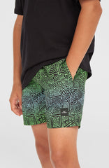 Cali 14'' Swim Shorts Kids - Blue Gradikat
