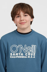 Essentials Crew Sweatshirt Kids - Mozart Blue