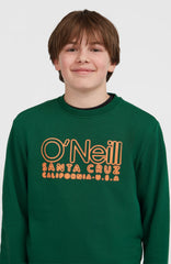Essentials Crew Sweatshirt Kids - Emerald Envy