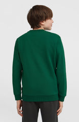 Essentials Crew Sweatshirt Kids - Emerald Envy