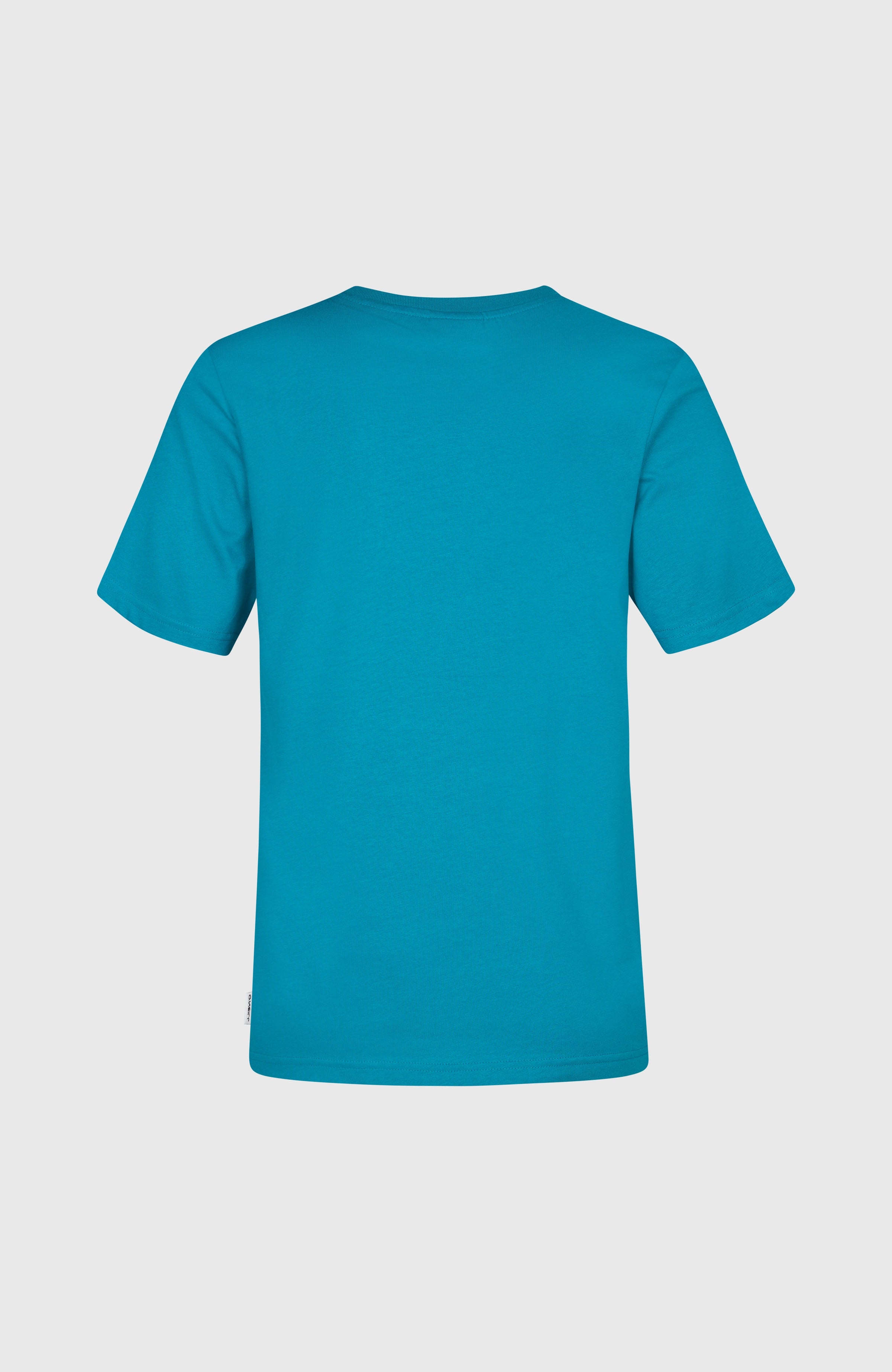 O'Neill Graphic T-Shirt Women - Island Breeze