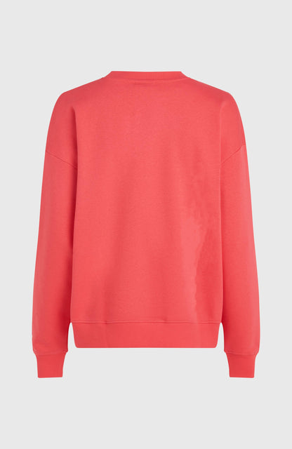 Future Surf Crew Sweatshirt Women - Froly