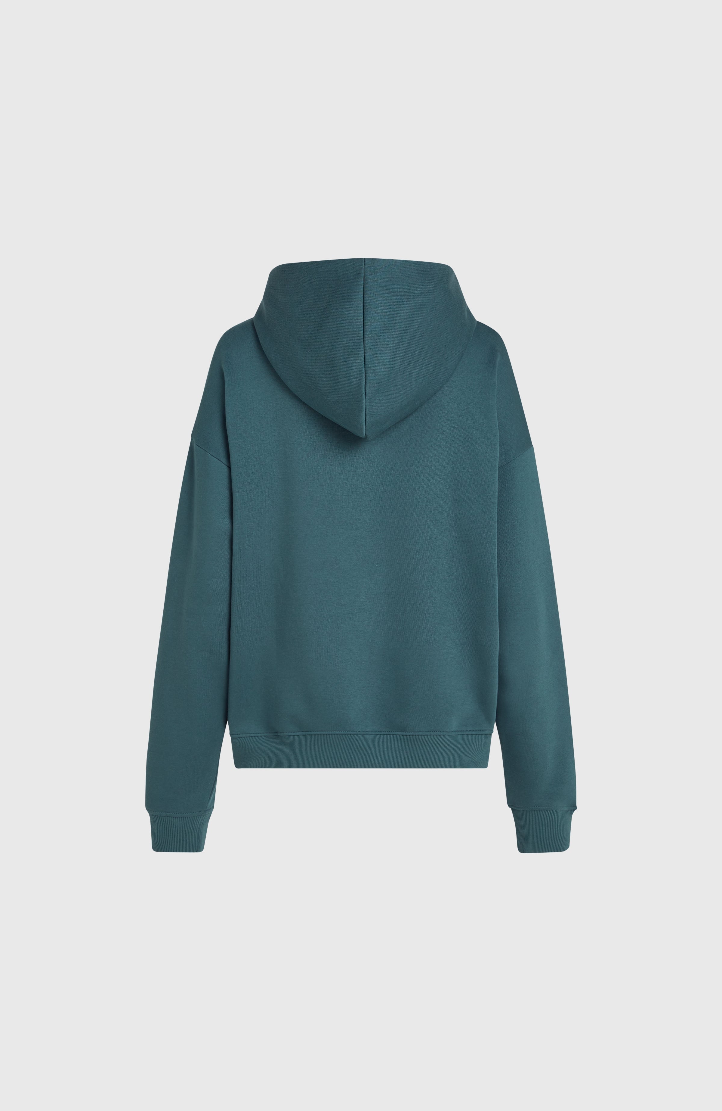 Future Surf Society Hoodie Women - Alma Steel
