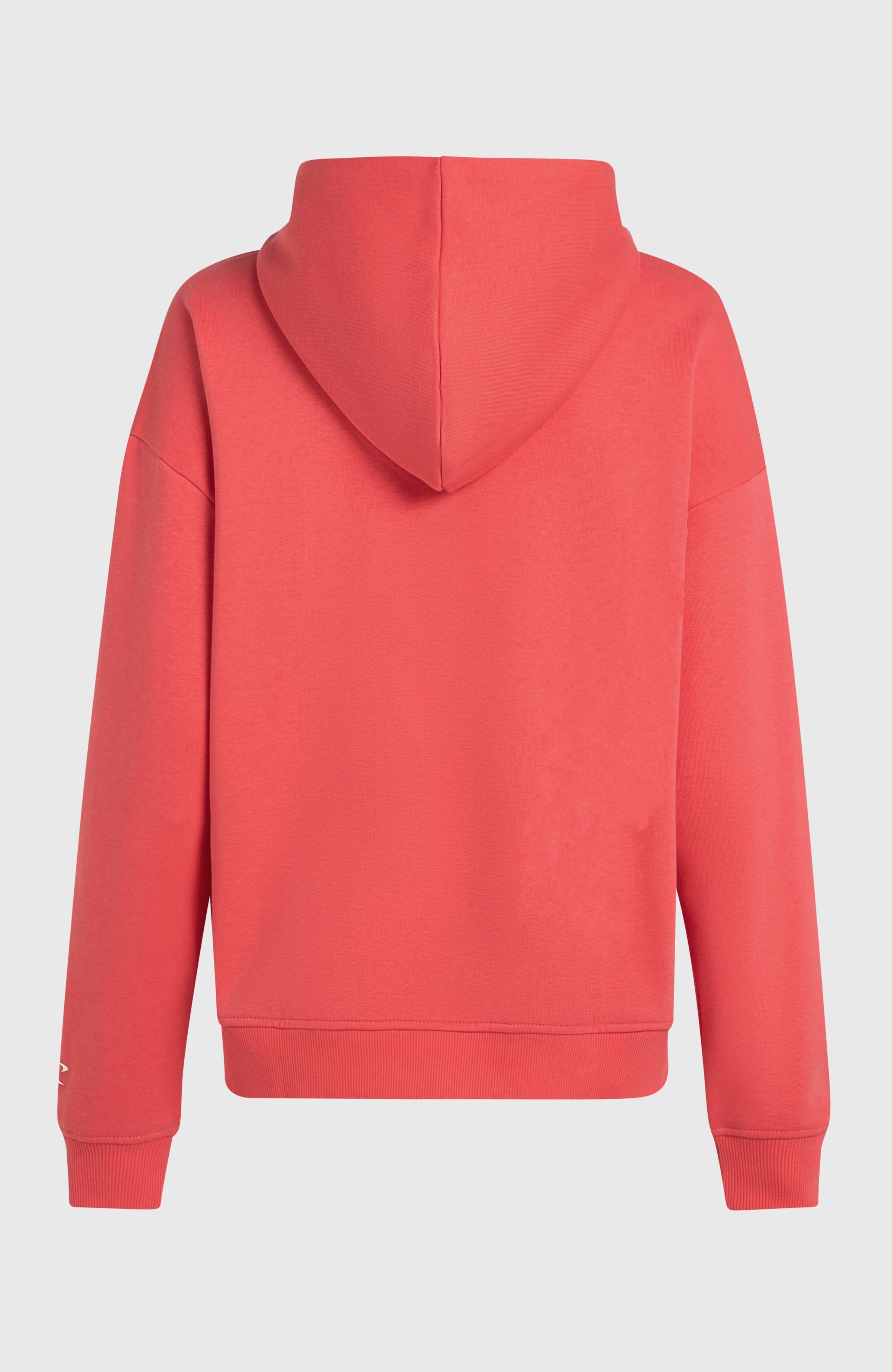 Future Surf Society Hoodie Women - Froly