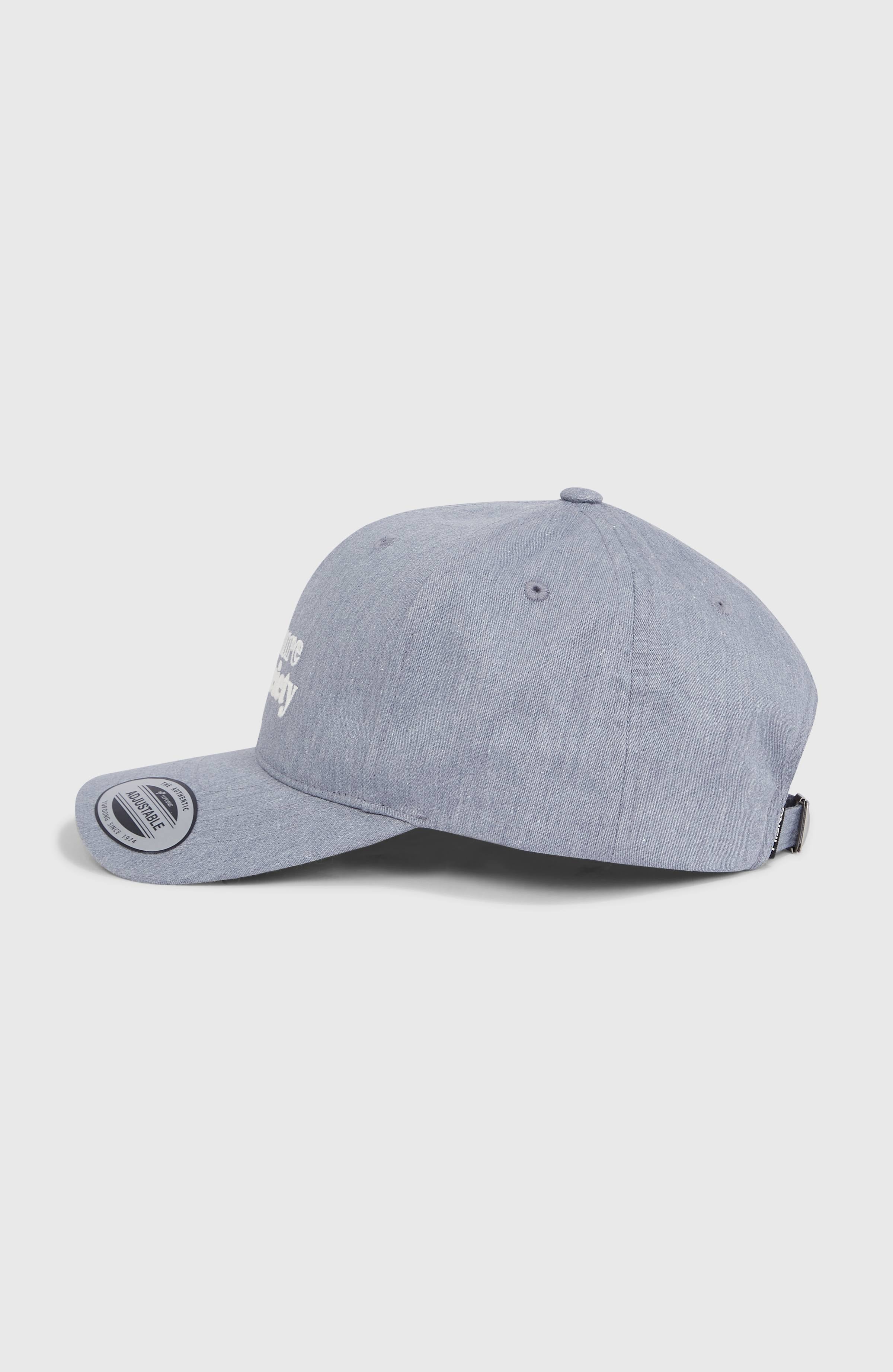 Future Surf Society Cap Women|Men - Silver Melee