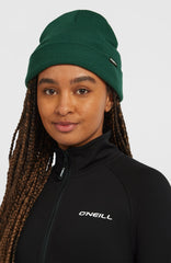 Dolomite Beanie Women|Men - Emerald Envy