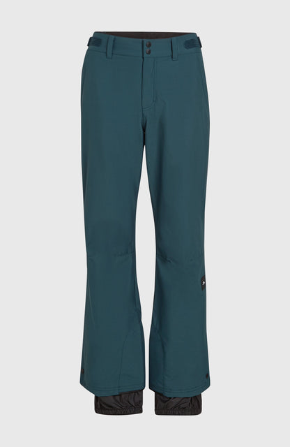 Aplite Regular Snow Pants Women - Alma Steel
