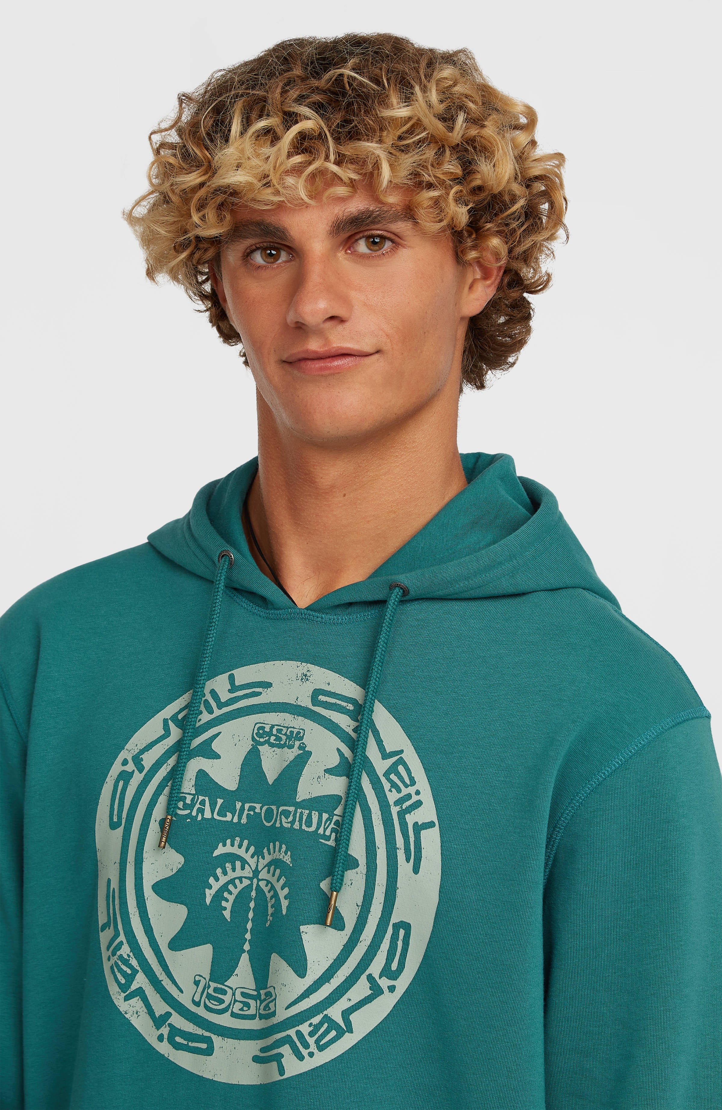 O'Neill Must-Have Graphic Hoodie Men - Botanical Heat