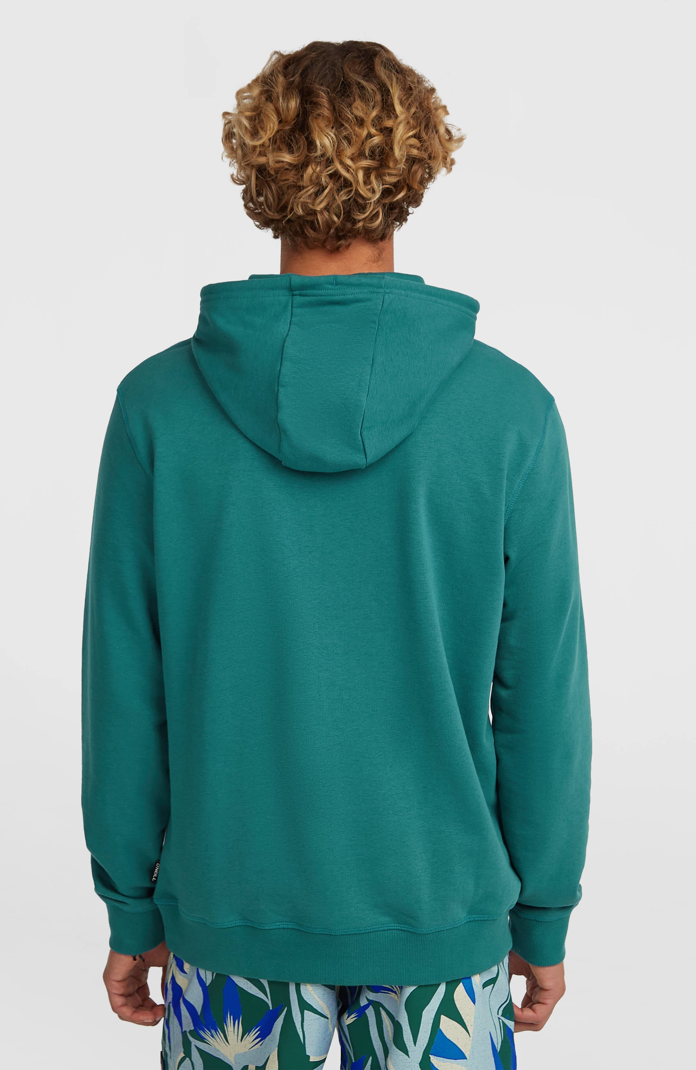 O'Neill Must-Have Graphic Hoodie Men - Botanical Heat