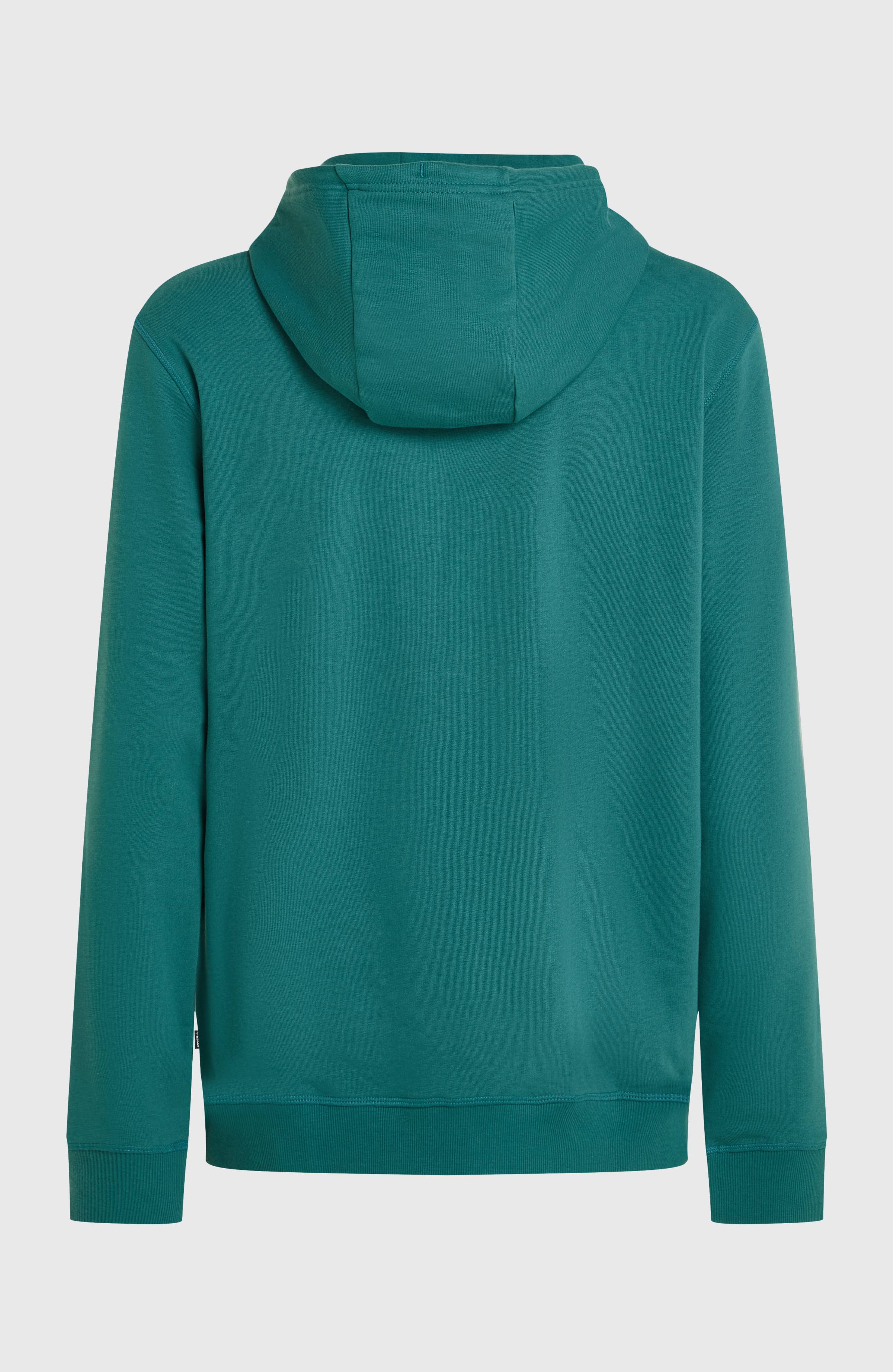 O'Neill Must-Have Graphic Hoodie Men - Botanical Heat