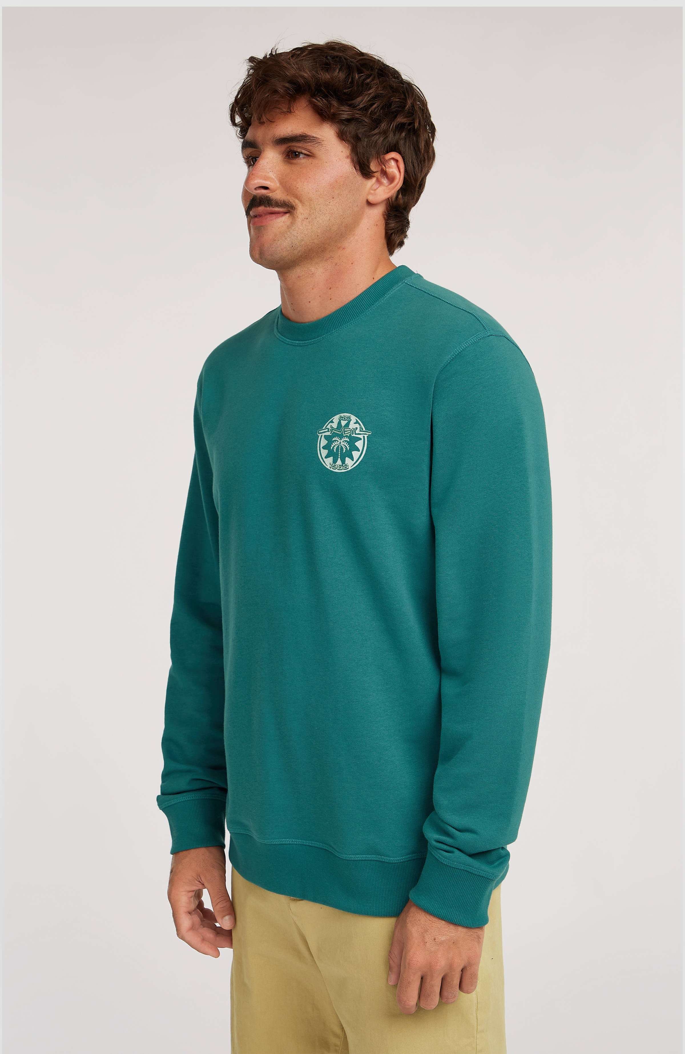 O'Neill Must-Have Graphic Crew Sweatshirt Men - Botanical Heat