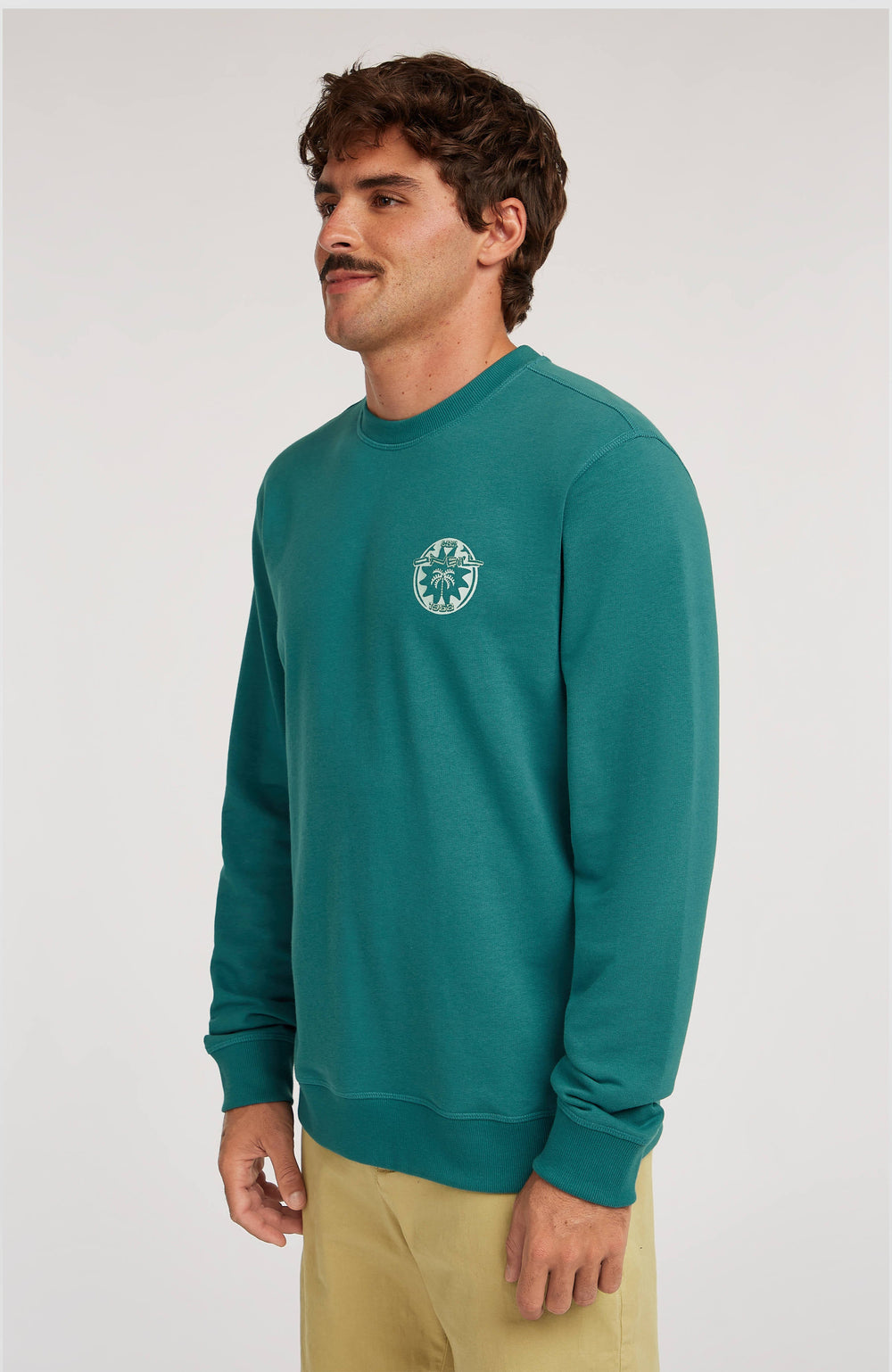 O'Neill Must-Have Graphic Crew Sweatshirt Men - Botanical Heat