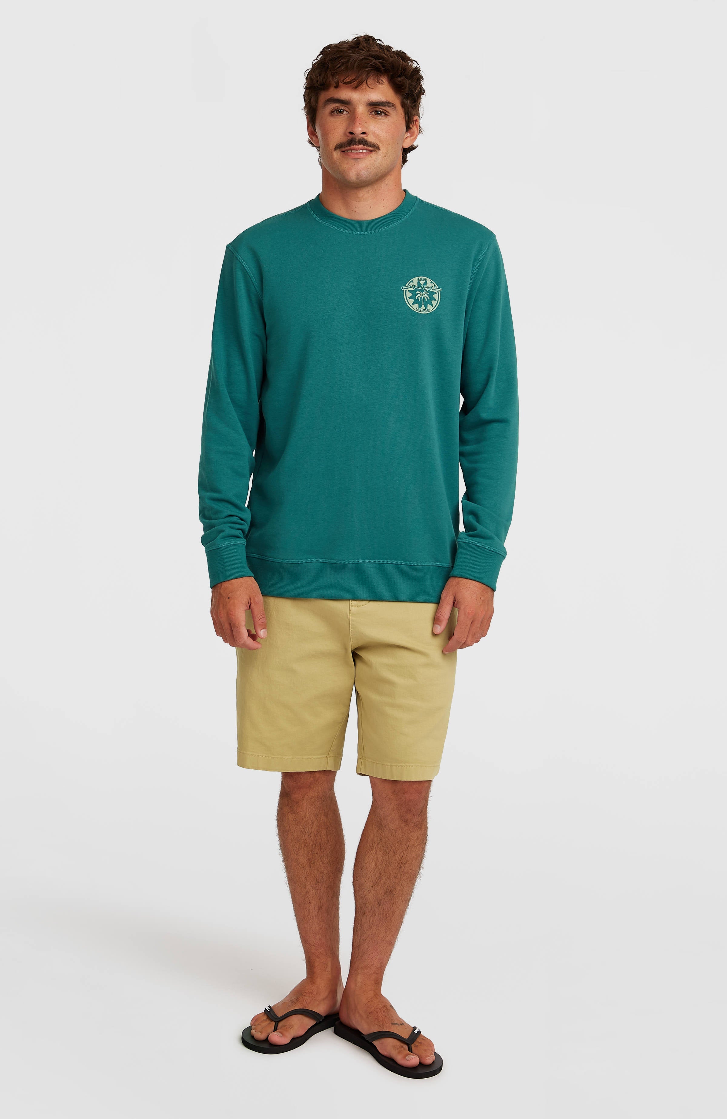 O'Neill Must-Have Graphic Crew Sweatshirt Men - Botanical Heat