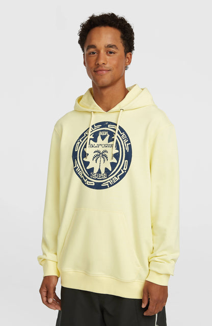 O'Neill Must-Have Graphic Hoodie Men - Rainforest Dew