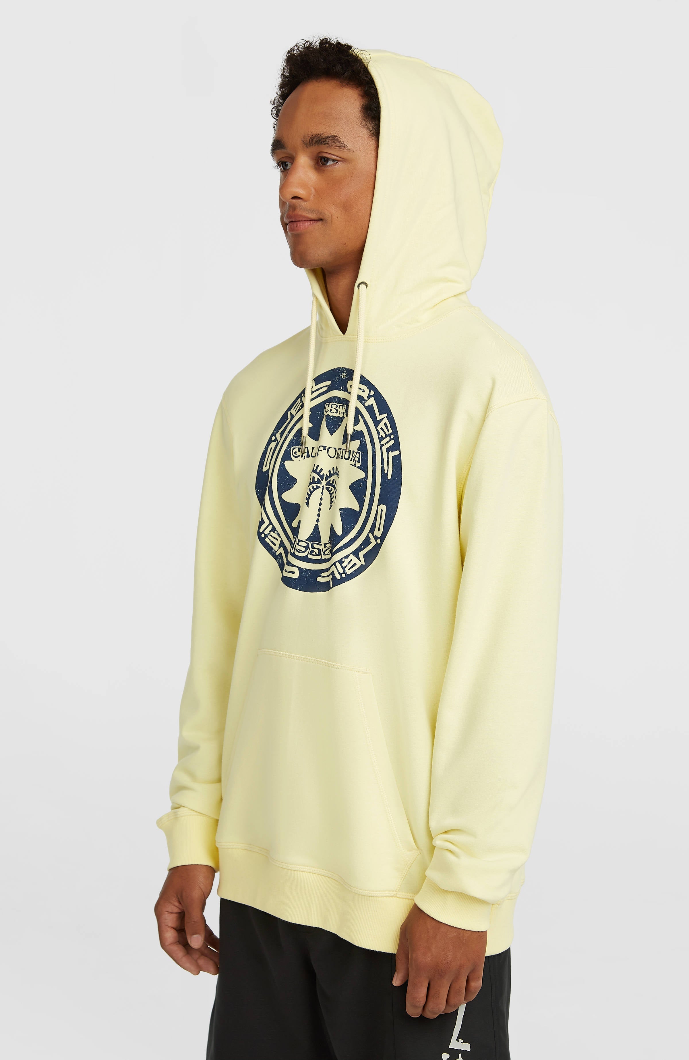 O'Neill Must-Have Graphic Hoodie Men - Rainforest Dew