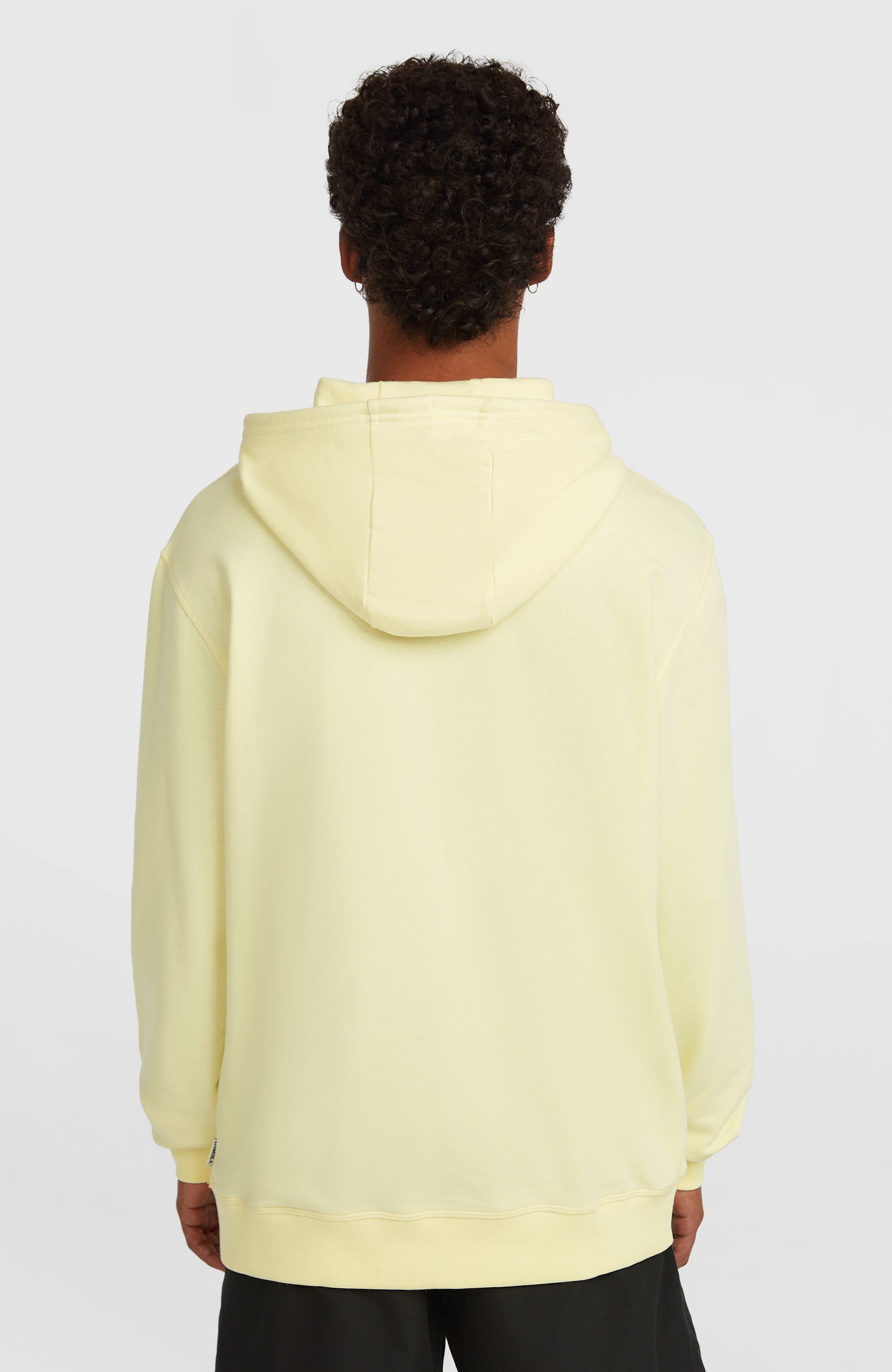 O'Neill Must-Have Graphic Hoodie Men - Rainforest Dew