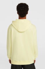 O'Neill Must-Have Graphic Hoodie Men - Rainforest Dew