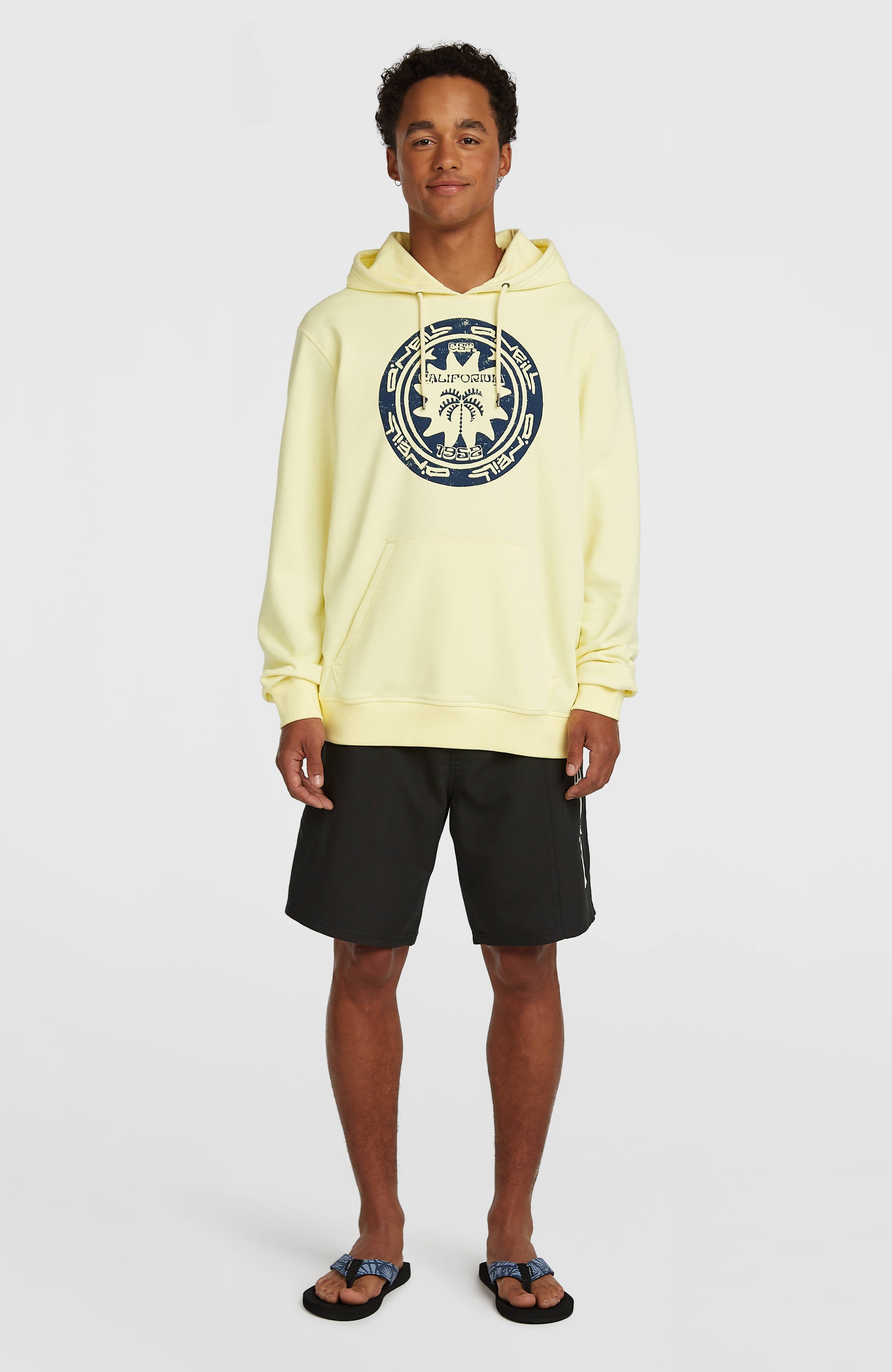 O'Neill Must-Have Graphic Hoodie Men - Rainforest Dew