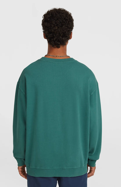O'Riginals Crew Sweatshirt Men - Botanical Heat