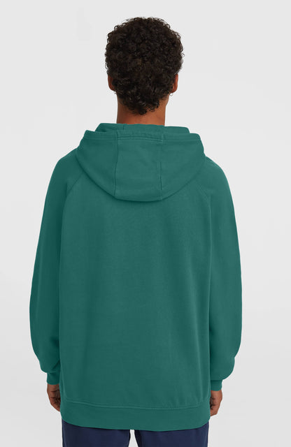 O'Riginals Badge Hoodie Men - Botanical Heat