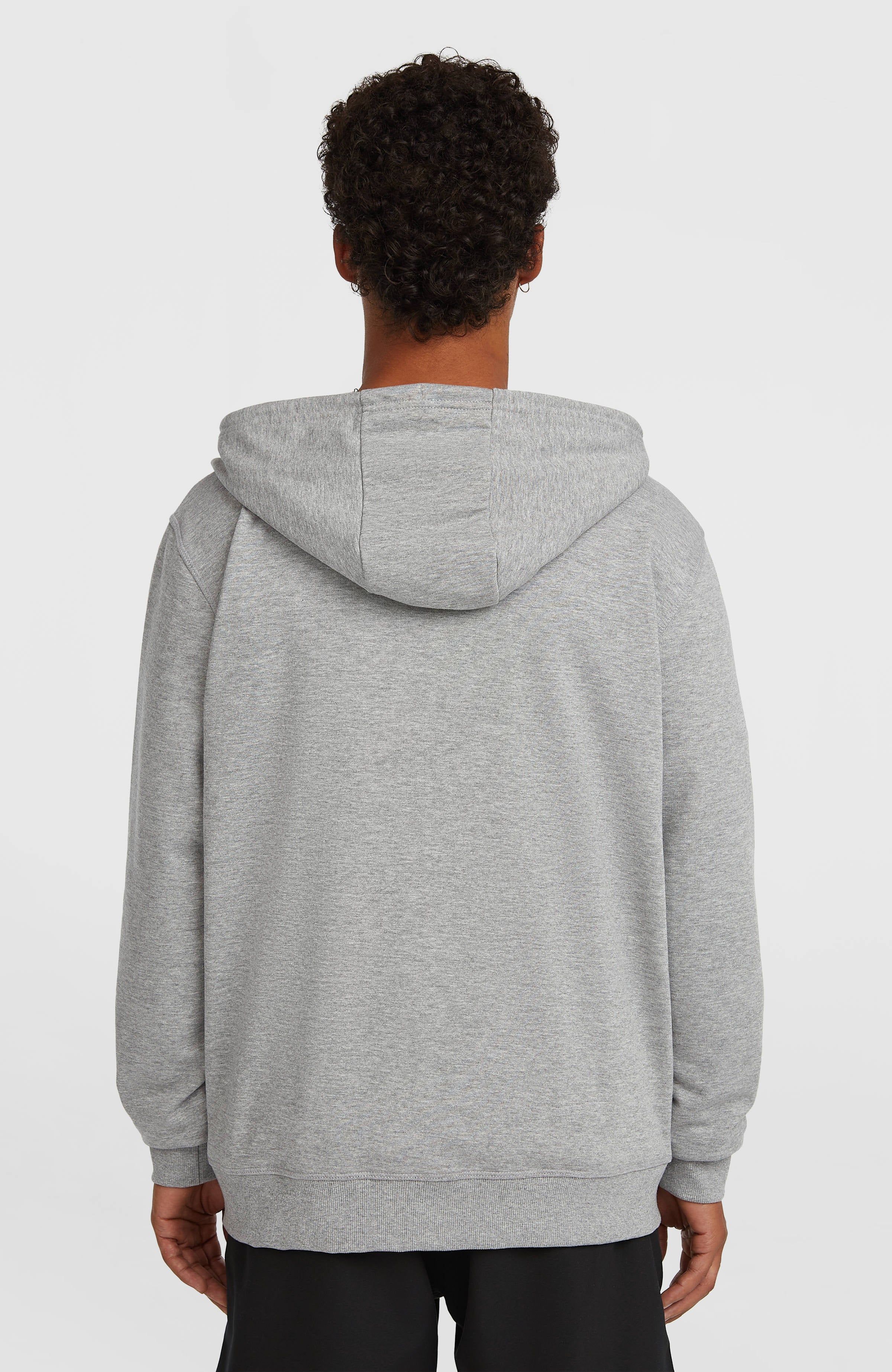 Small Logo Full-Zip Hoodie Men - Silver Melee