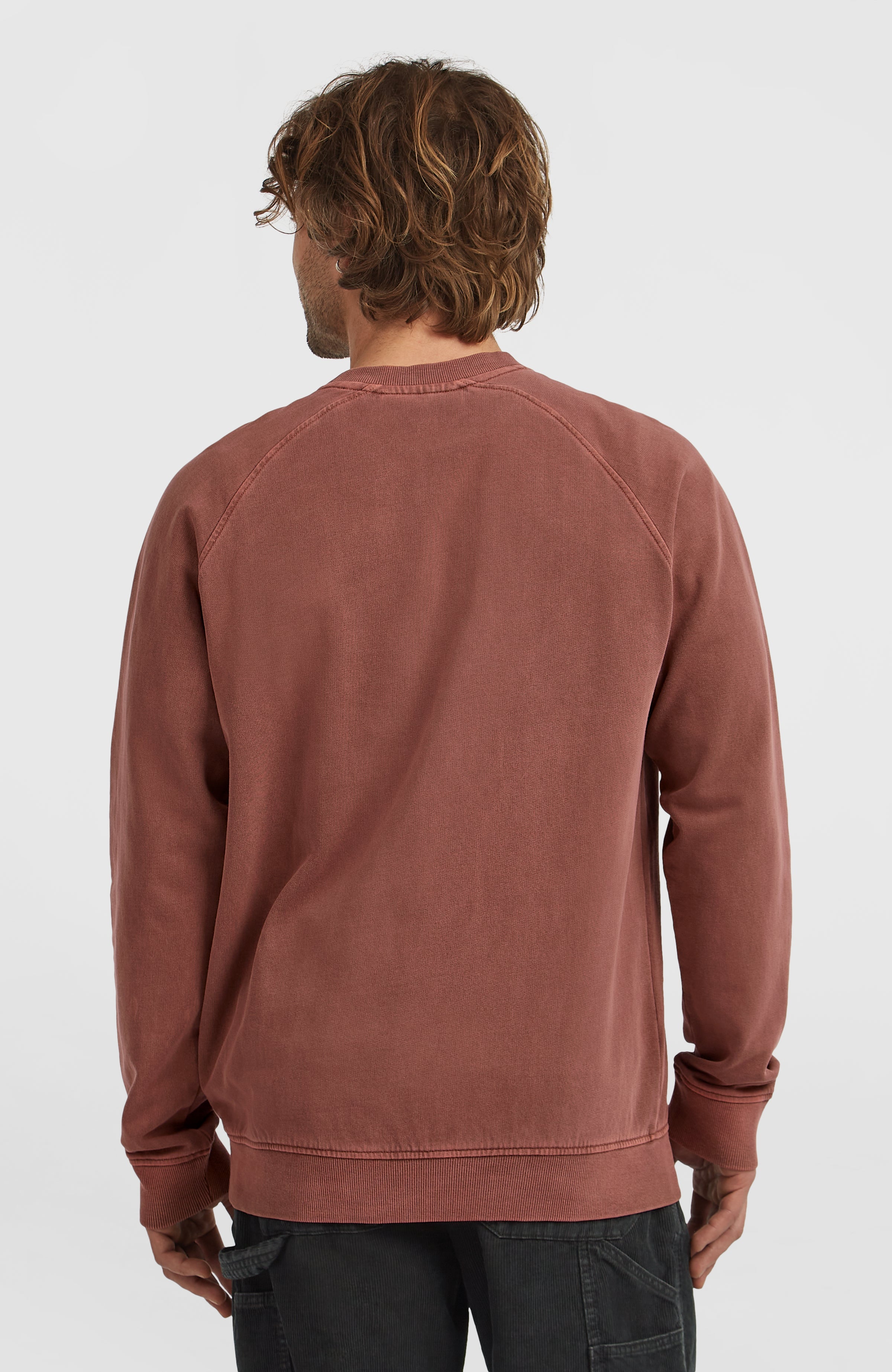 O'Riginals Crew Sweatshirt Men - Hazel Spice