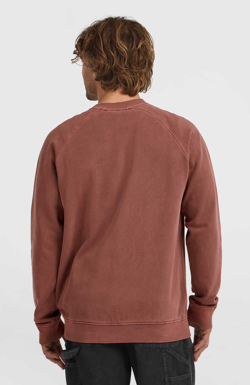 O'Riginals Crew Sweatshirt Men - Hazel Spice