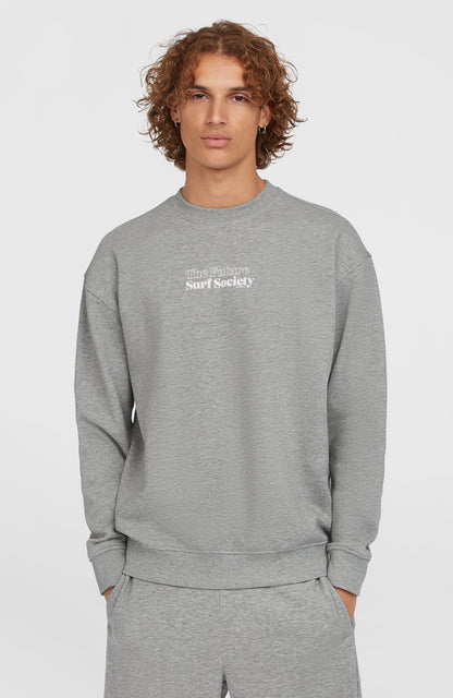 Future Surf Society Crew Men - Silver Melee