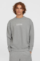 Future Surf Society Crew Men - Silver Melee