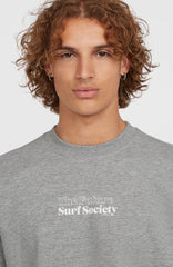 Future Surf Society Crew Men - Silver Melee