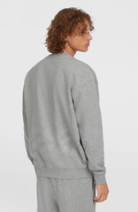 Future Surf Society Crew Men - Silver Melee