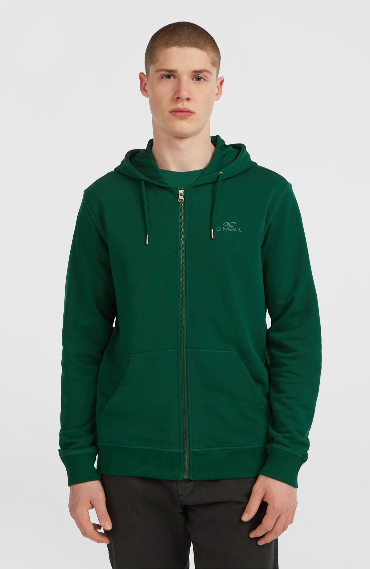 Small Logo Full-Zip Hoodie Men - Emerald Envy