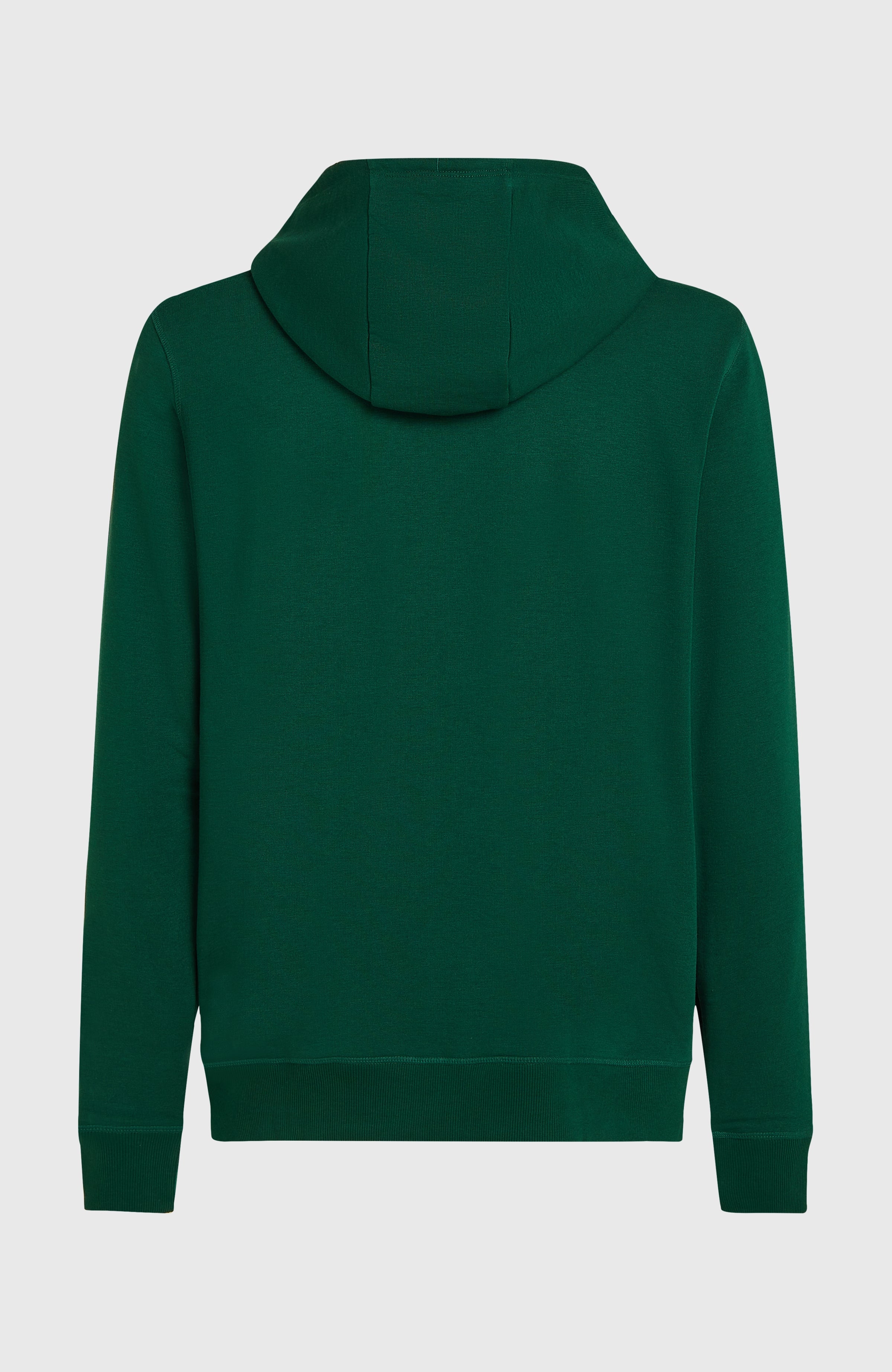 Small Logo Full-Zip Hoodie Men - Emerald Envy