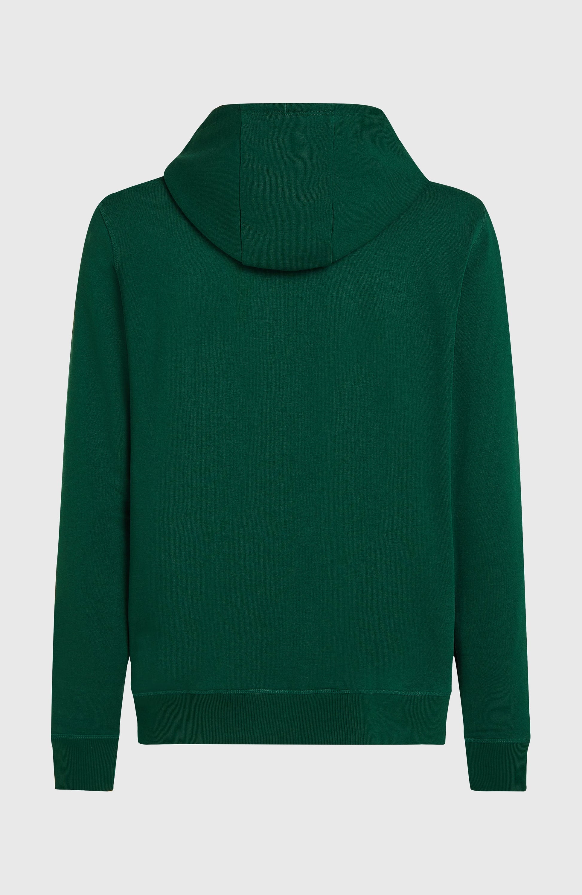 Small Logo Full-Zip Hoodie Men - Emerald Envy
