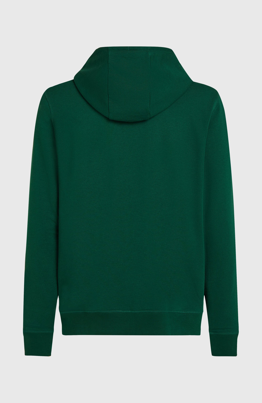 Small Logo Full-Zip Hoodie Men - Emerald Envy