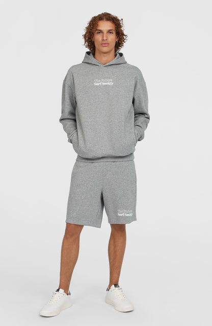 Future Surf Society Hoodie Men - Silver Melee