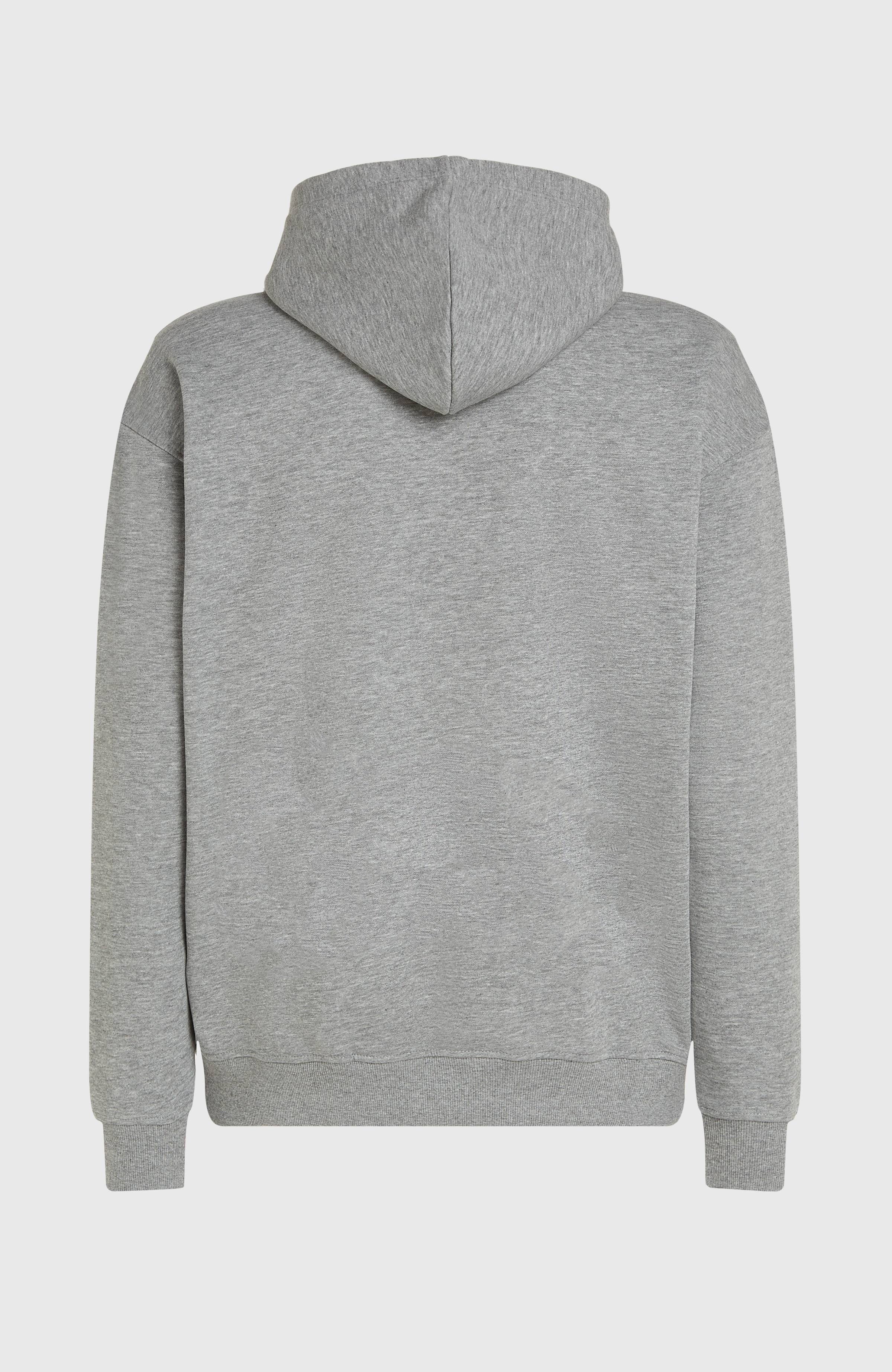 Future Surf Society Hoodie Men - Silver Melee