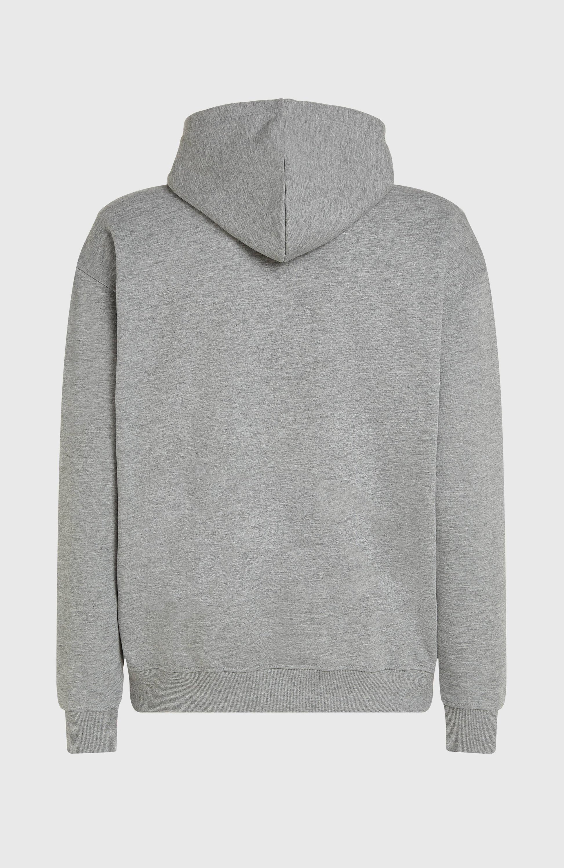 Future Surf Society Hoodie Men - Silver Melee