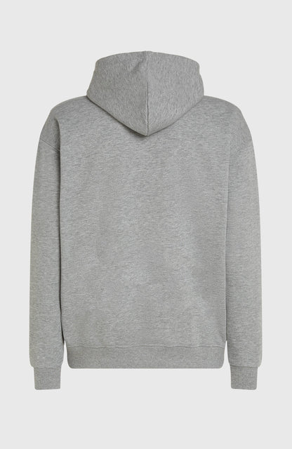 Future Surf Society Hoodie Men - Silver Melee