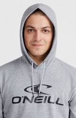 O'Neill Logo Hoodie Men - Silver Melee