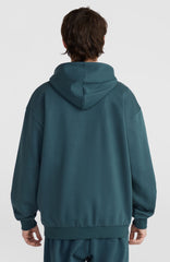 Future Surf Society Hoodie Men - Alma Steel