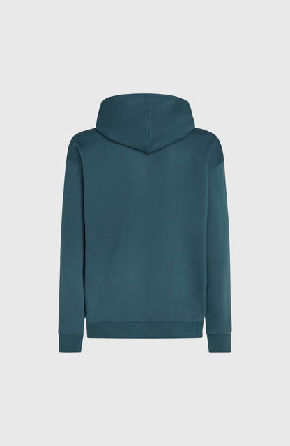 Future Surf Society Hoodie Men - Alma Steel