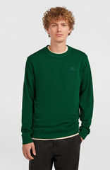 Small Logo Crew Sweatshirt Men - Emerald Envy