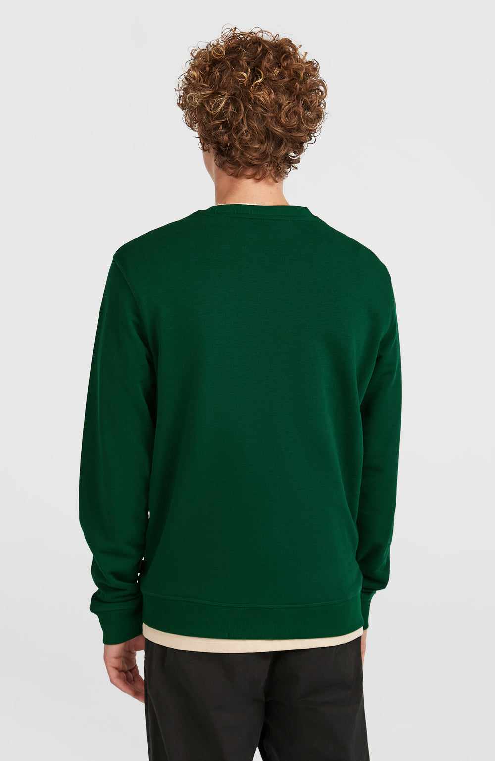 Small Logo Crew Sweatshirt Men - Emerald Envy