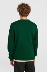Small Logo Crew Sweatshirt Men - Emerald Envy