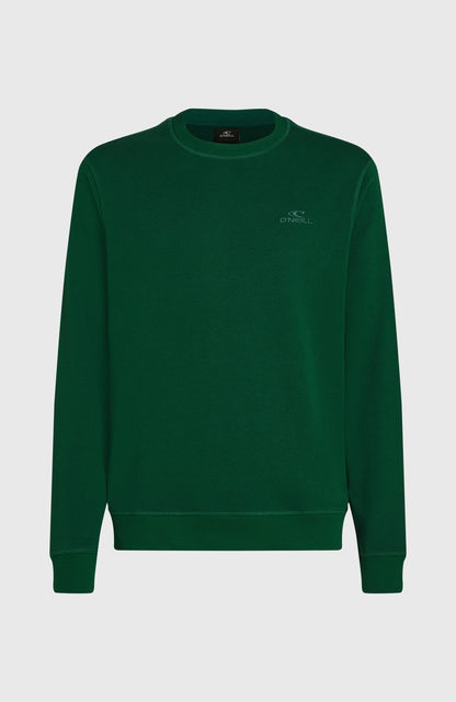 Small Logo Crew Sweatshirt Men - Emerald Envy